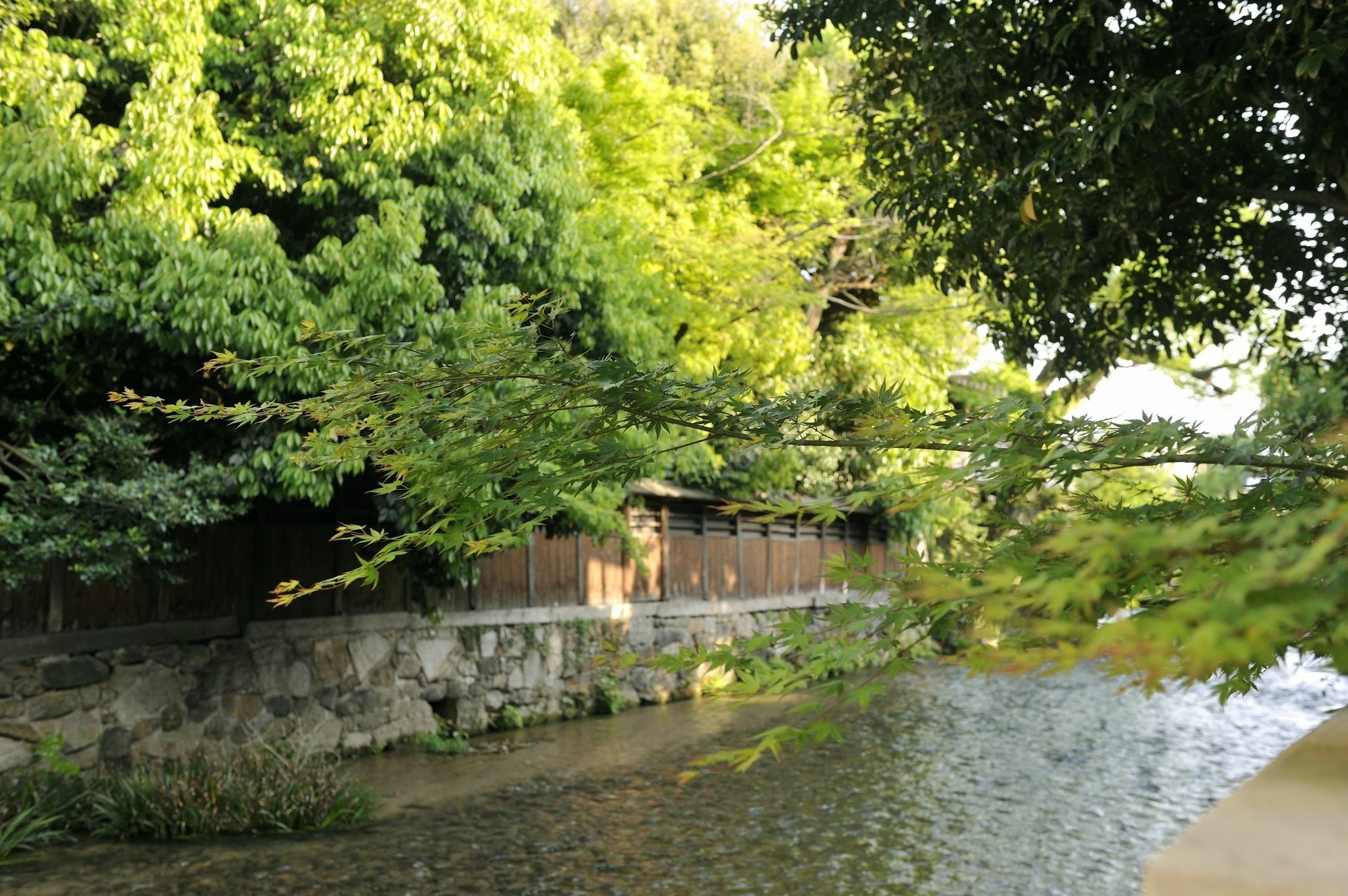 季楽 京都 東山 エクステリア 写真